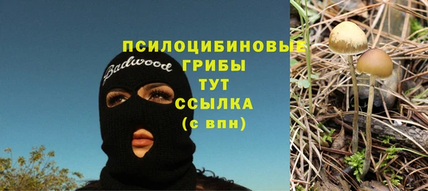 дживик Абдулино