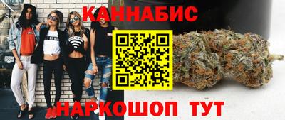 сатива Долгопрудный